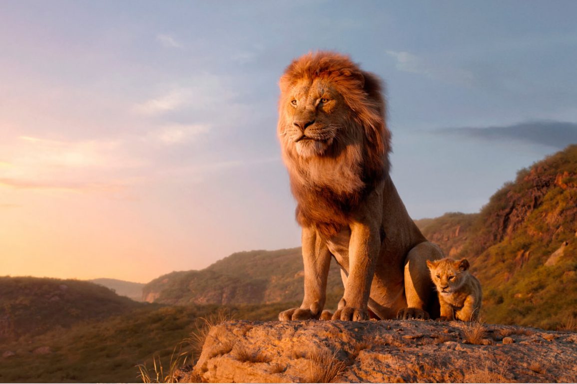 В мультфильме Король Лев был реальный кадр, снятый на камеру