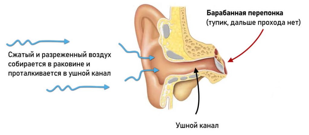 как звук попадает в ухо