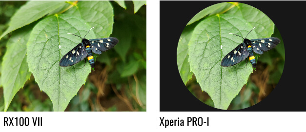 примеры изображения без учета кропа Xperia Pro-I